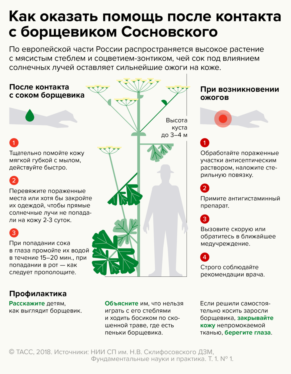 Европейская часть России может зарасти борщевиком через 30-40 лет  (+полезная инфографика) | Пикабу