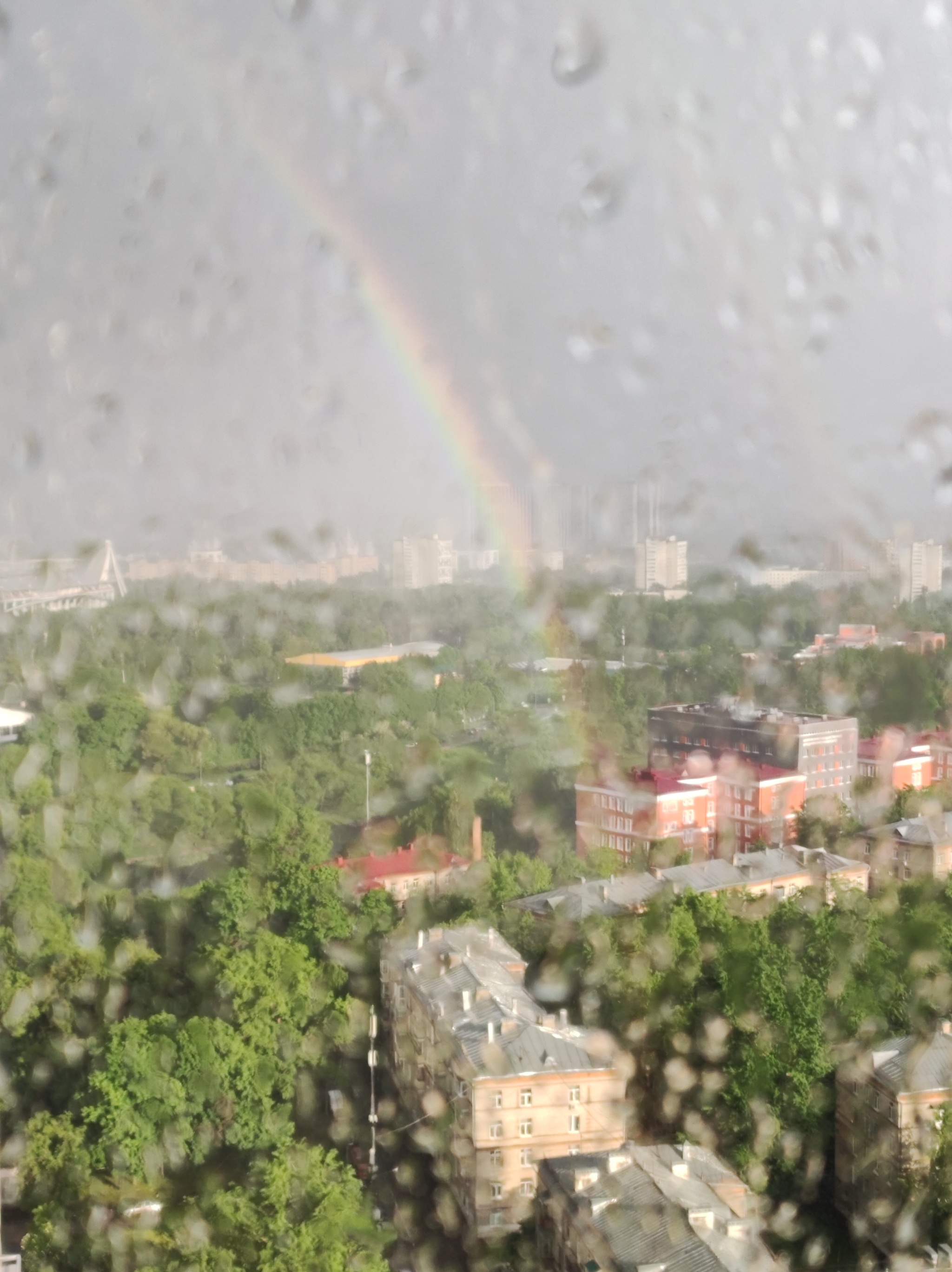 Радуга | Пикабу