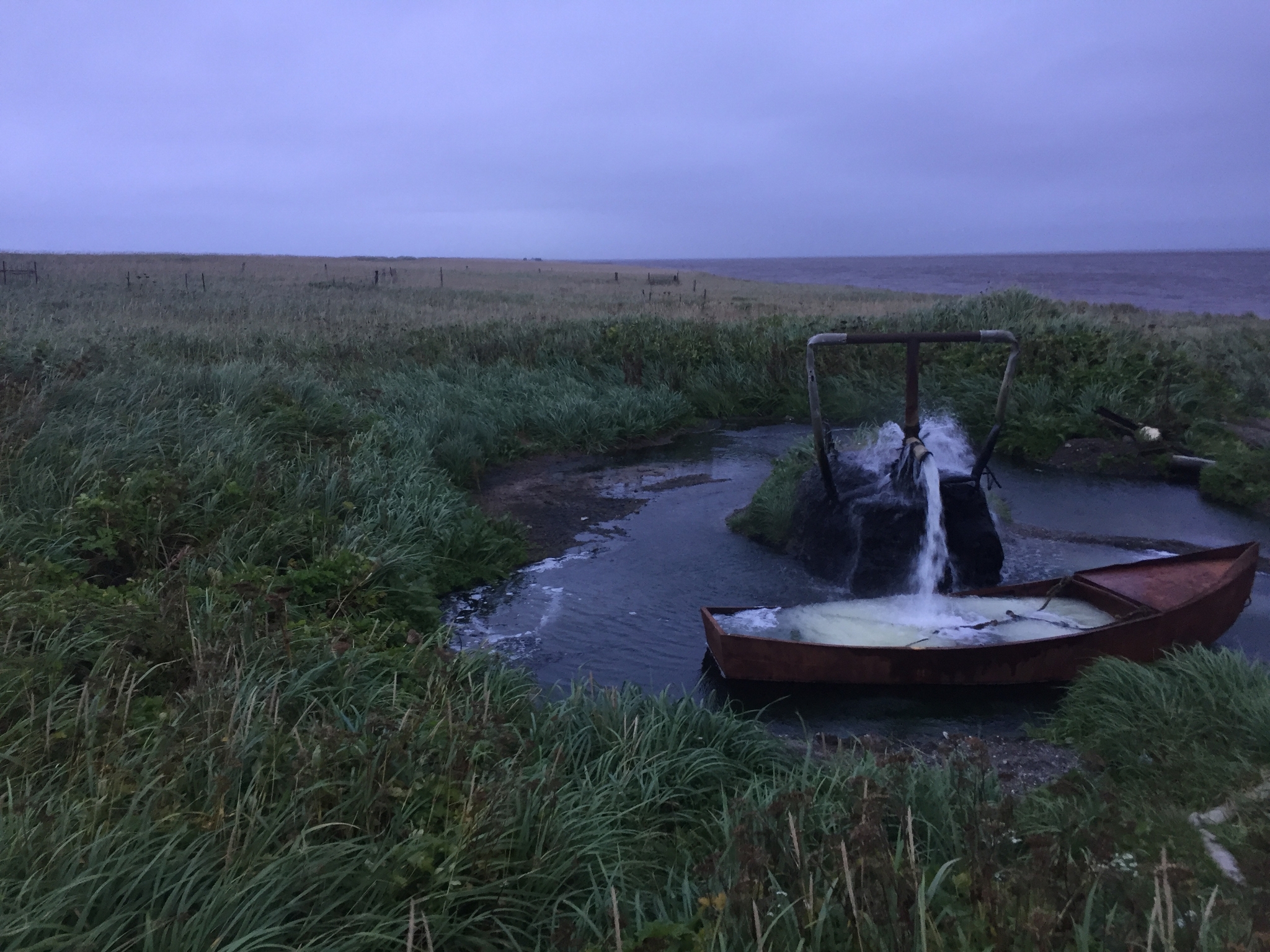 Термальный источник на берегу Охотского моря. Соболевский район, Камчатский  край. (Фото 2016 и 2021 год) | Пикабу