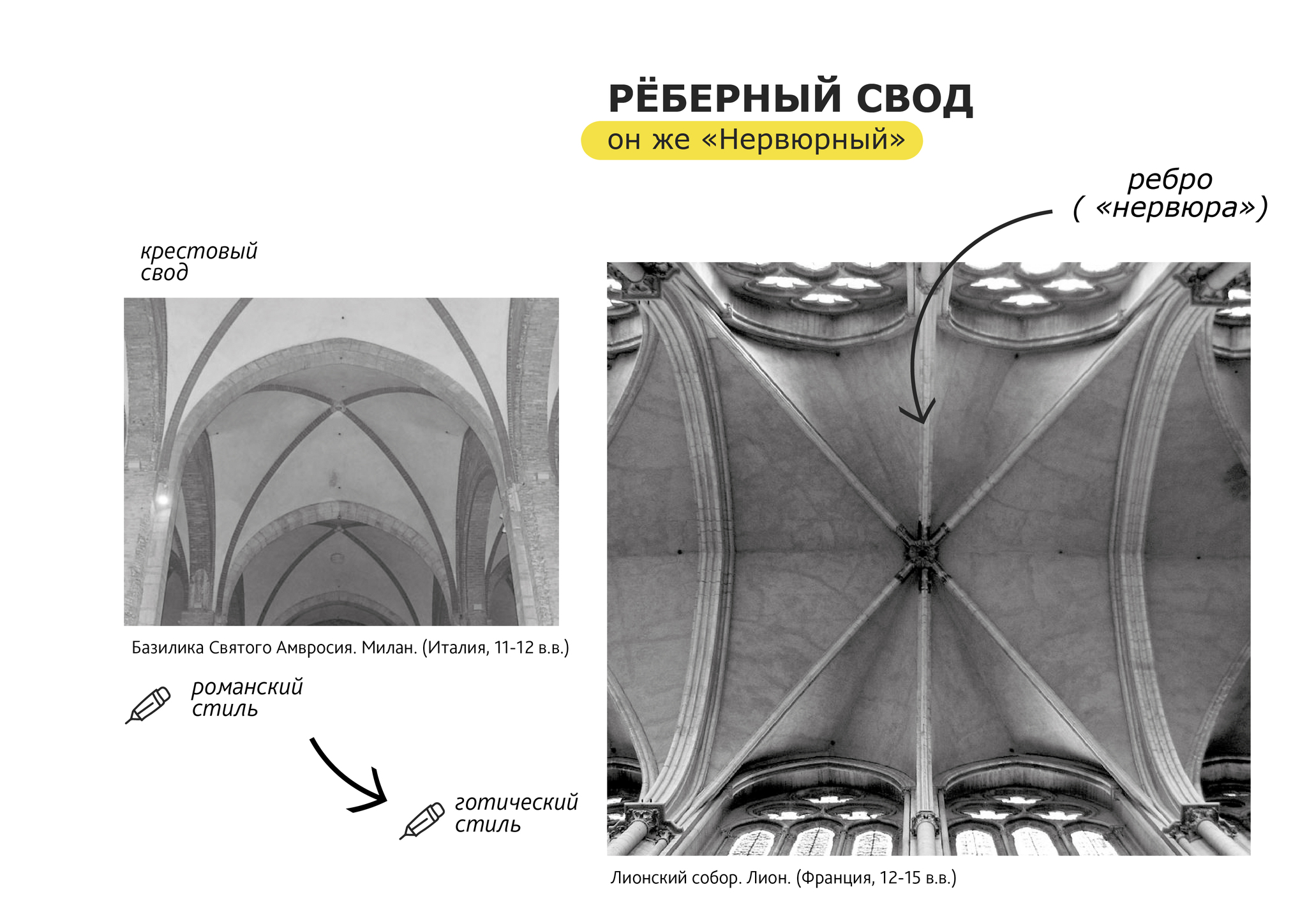 Реберный свод | Пикабу