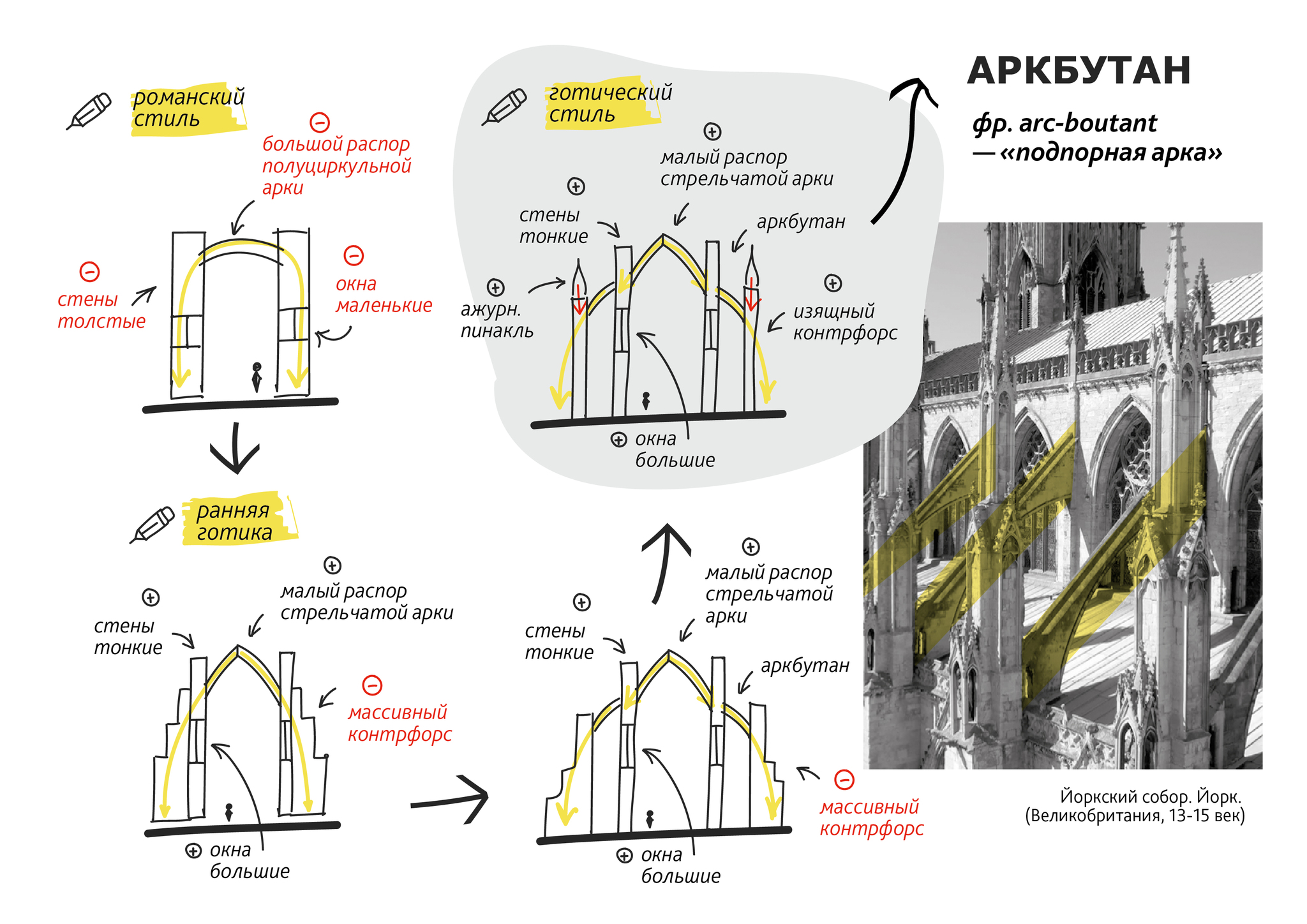 Аркбутан | Пикабу