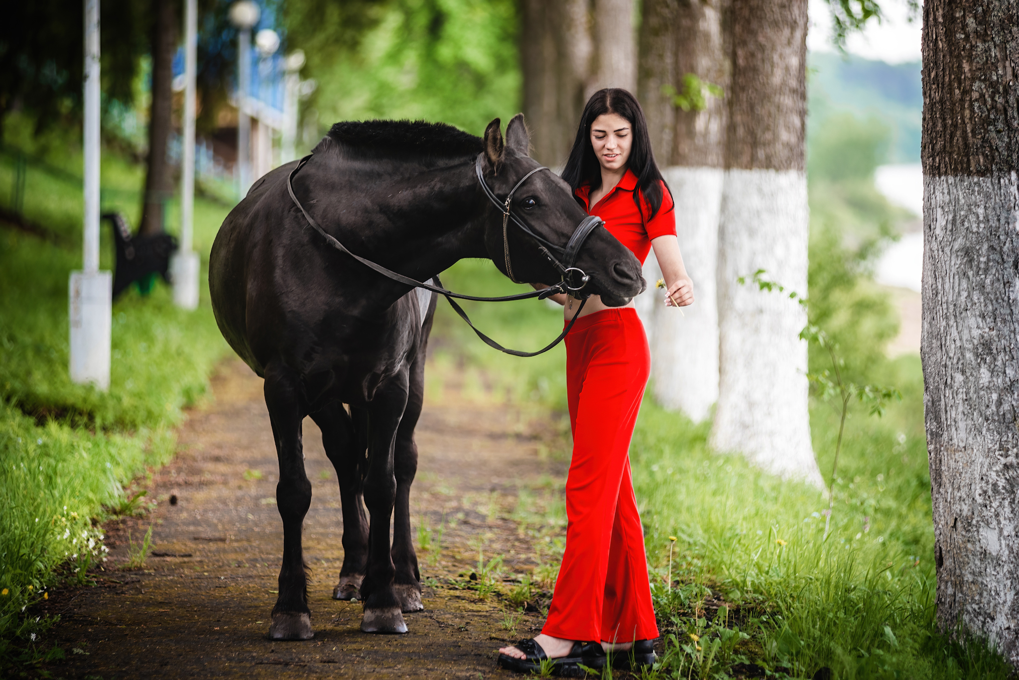 Фото Лошадей В Контакте