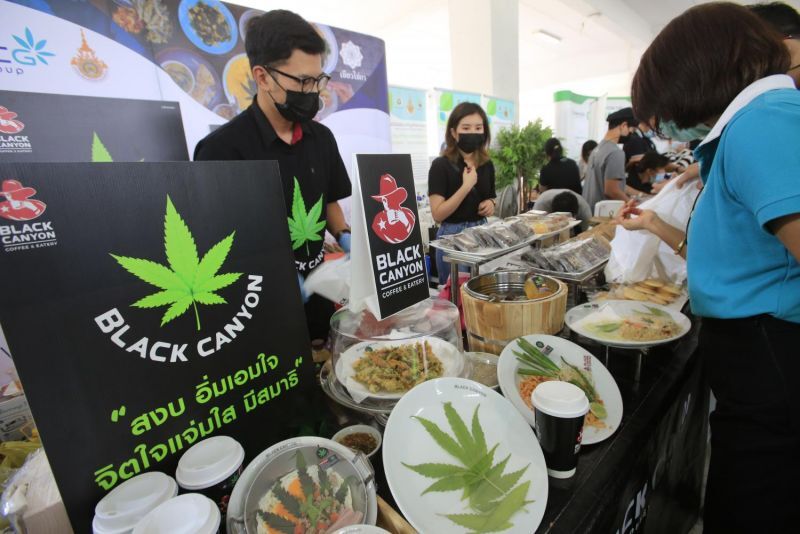 как вывезти марихуану из тайланда