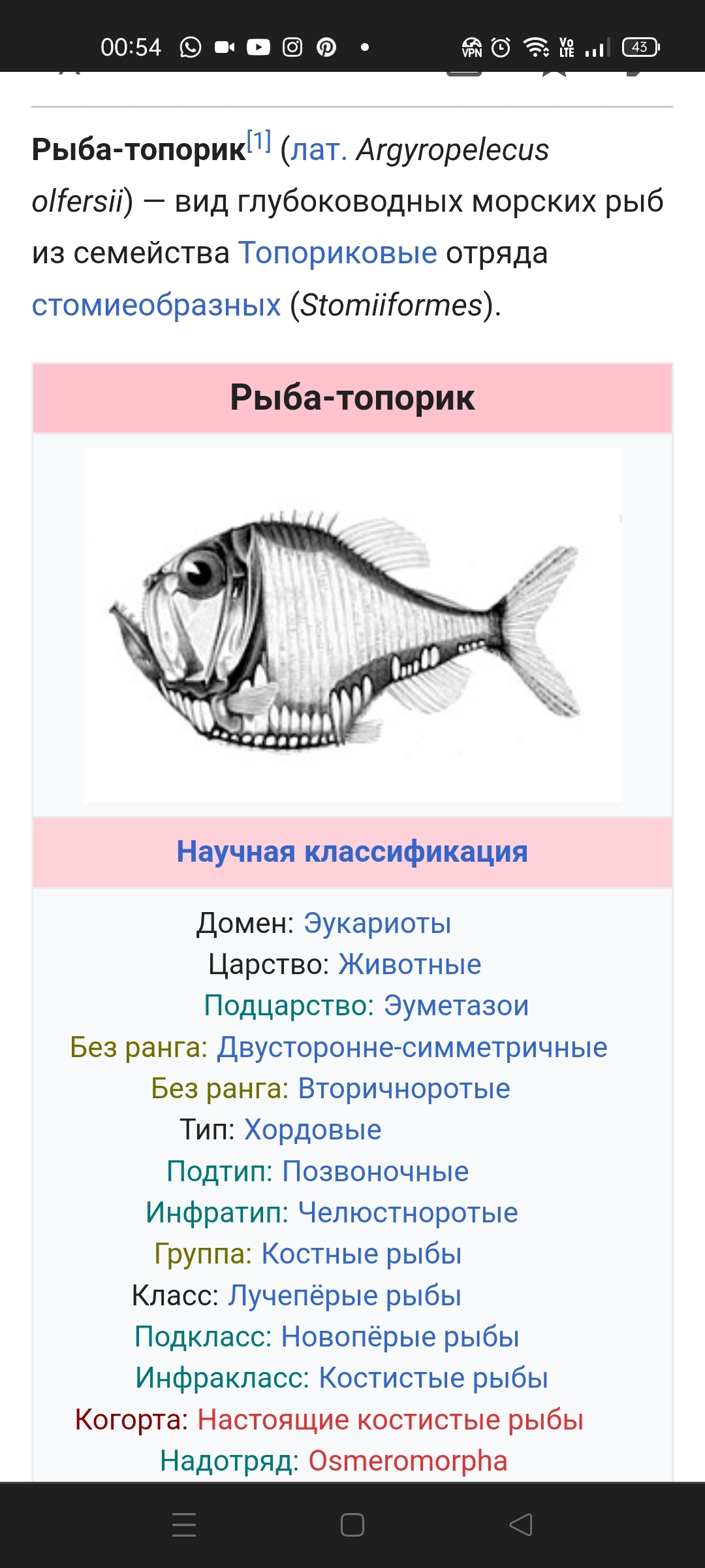 Ответ на пост «Тупой смеётся над умным» | Пикабу