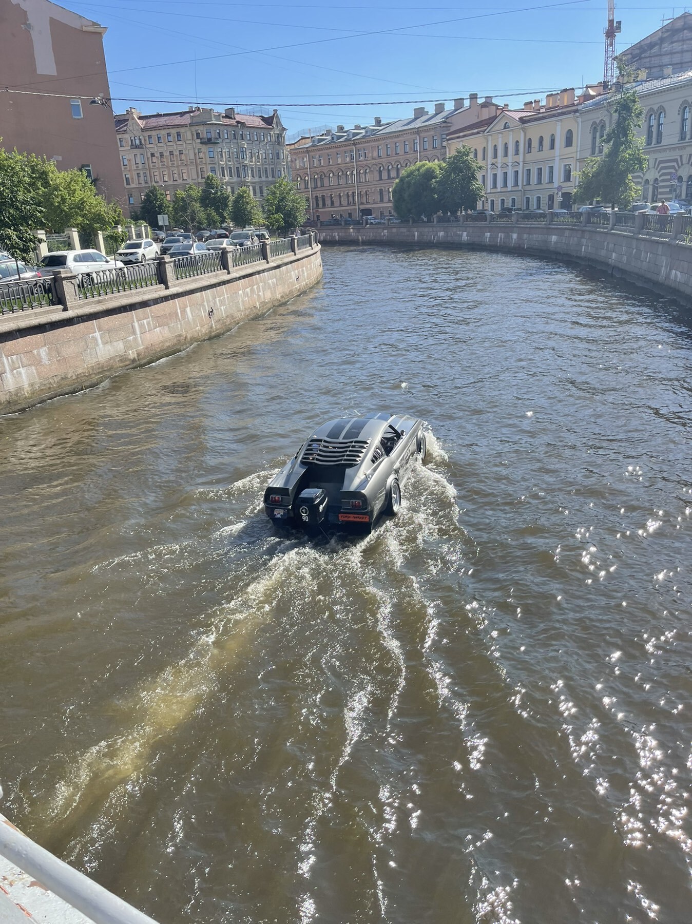 Плавающий мустанг замечен в Петербурге | Пикабу