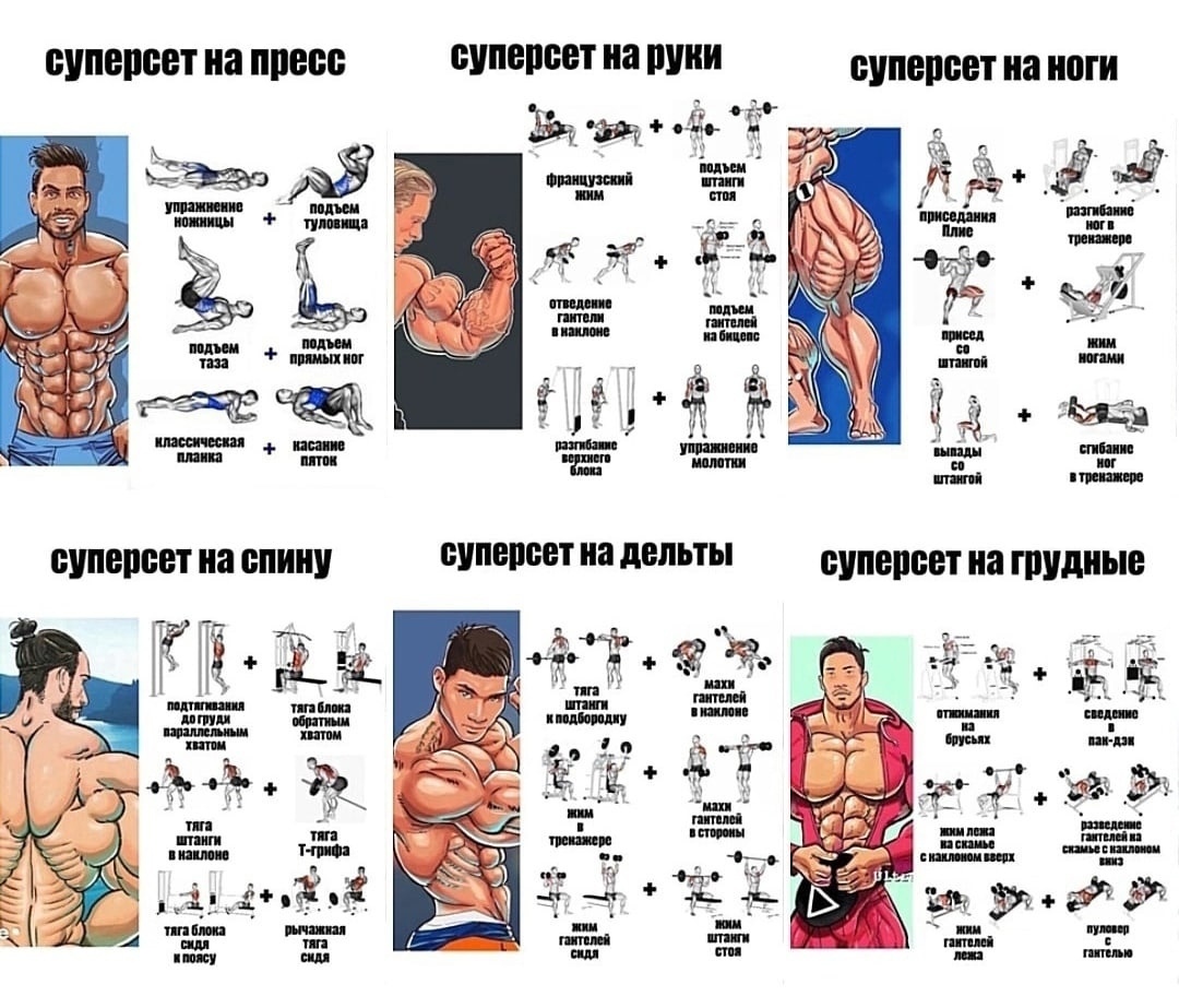 Суперсеты на все группы мышц для эффективной тренировки | Пикабу