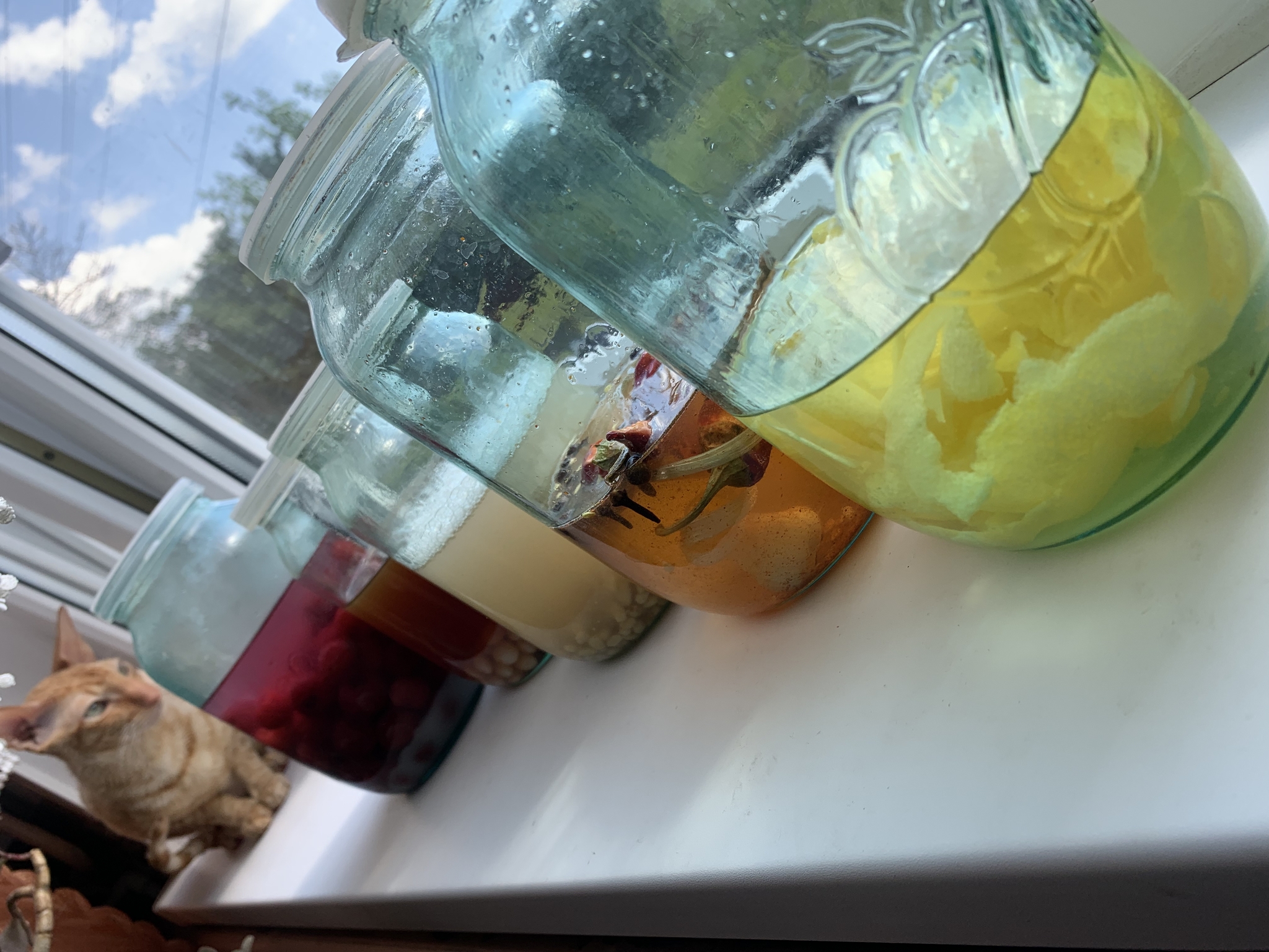 водка на лимонных корках в домашних условиях | Дзен