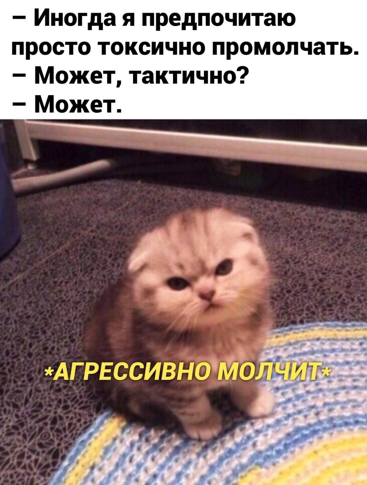 Я все могу... | Пикабу