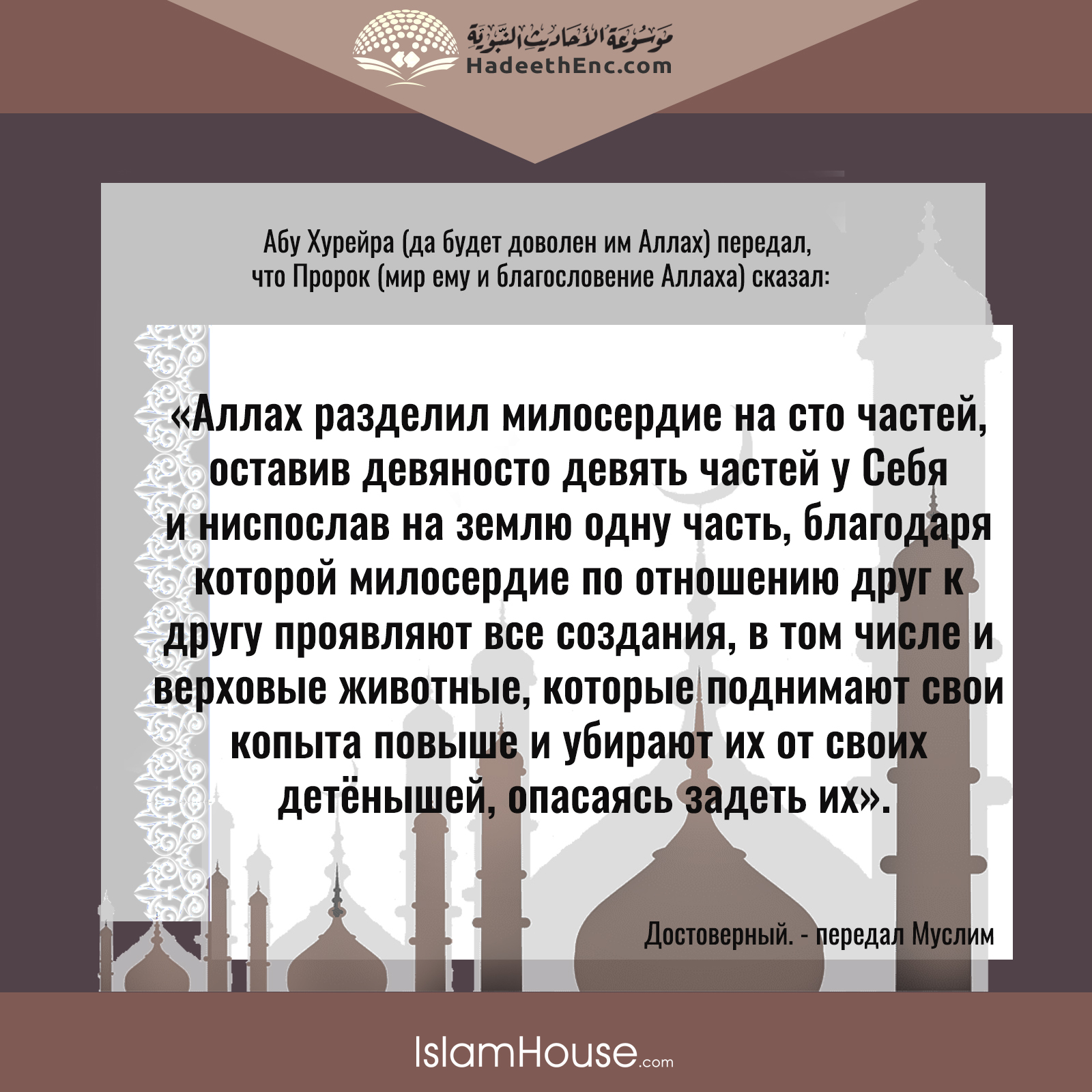 что дает нам на вход в дом бога согласно корану (98) фото