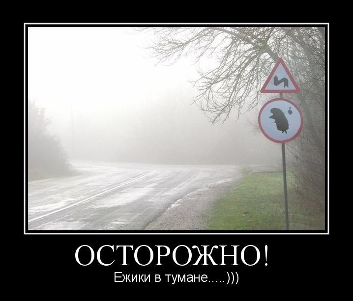 Союзмультфильм представляет или глюки дальнобойщиков | Пикабу