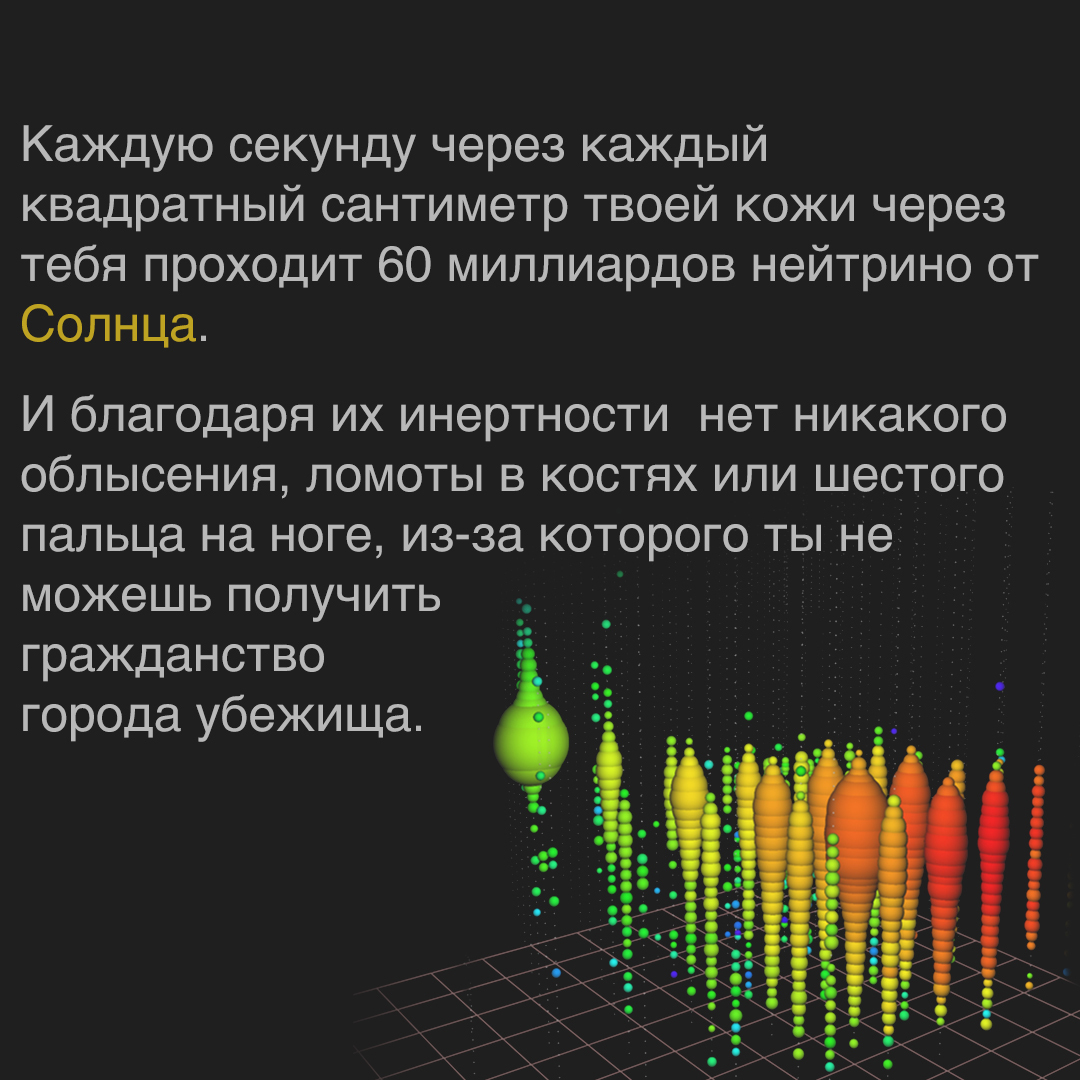 гермофродиты Нейтрино | Пикабу
