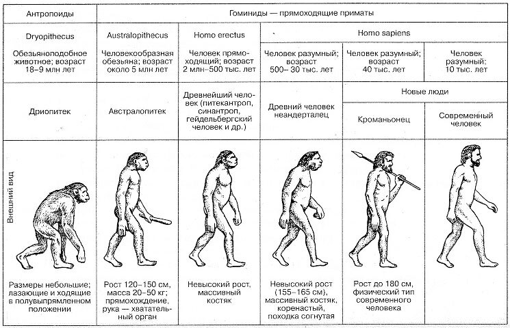 Секс древних людей - 237 XxX роликов схожих с запросом