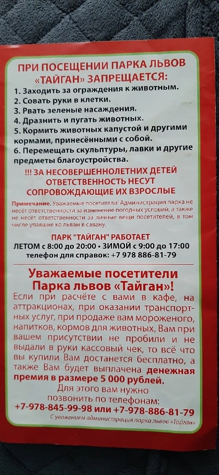 Парк львов Тайган и заключение вчера, 28 июля Олега Зубкова на реальный  срок 2 года 3 месяца по надуманному обвинению [Есть ответ] | Пикабу