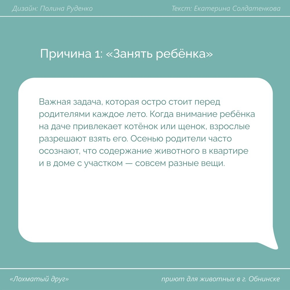 Котиков и собачек оставляют зимовать на дачах без пищи и крыши над головой  | Пикабу