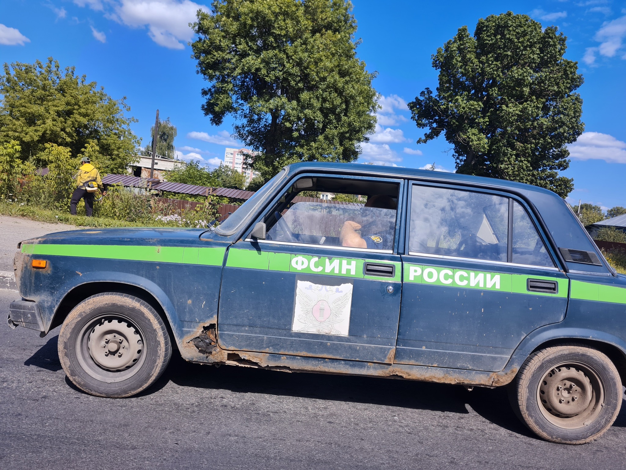 Система полностью прогнила... | Пикабу