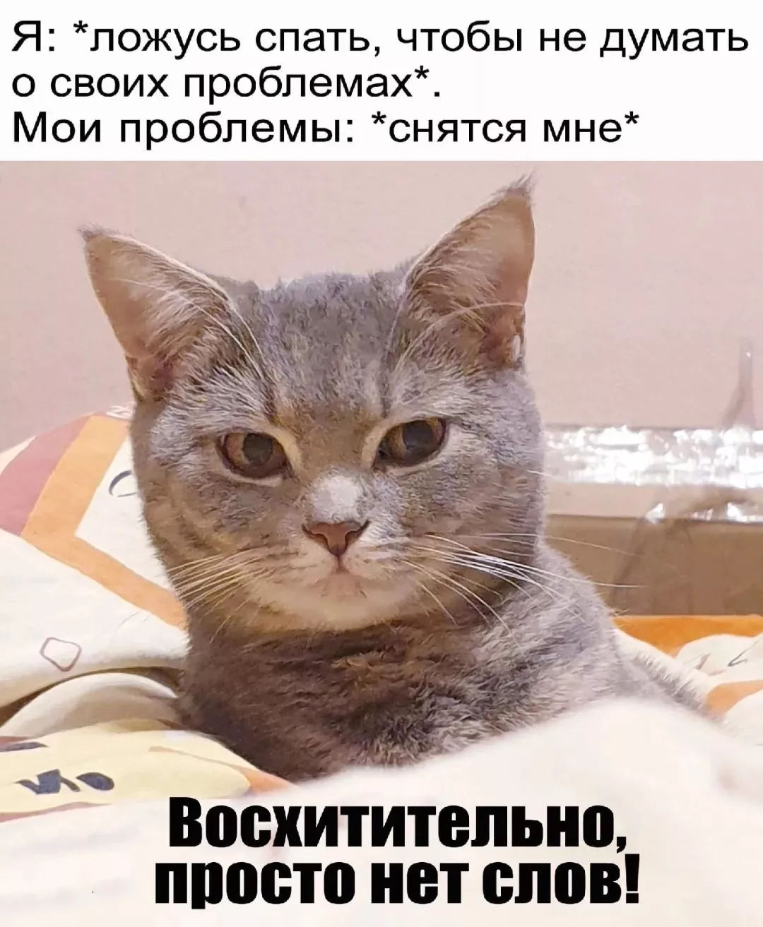 Сны | Пикабу