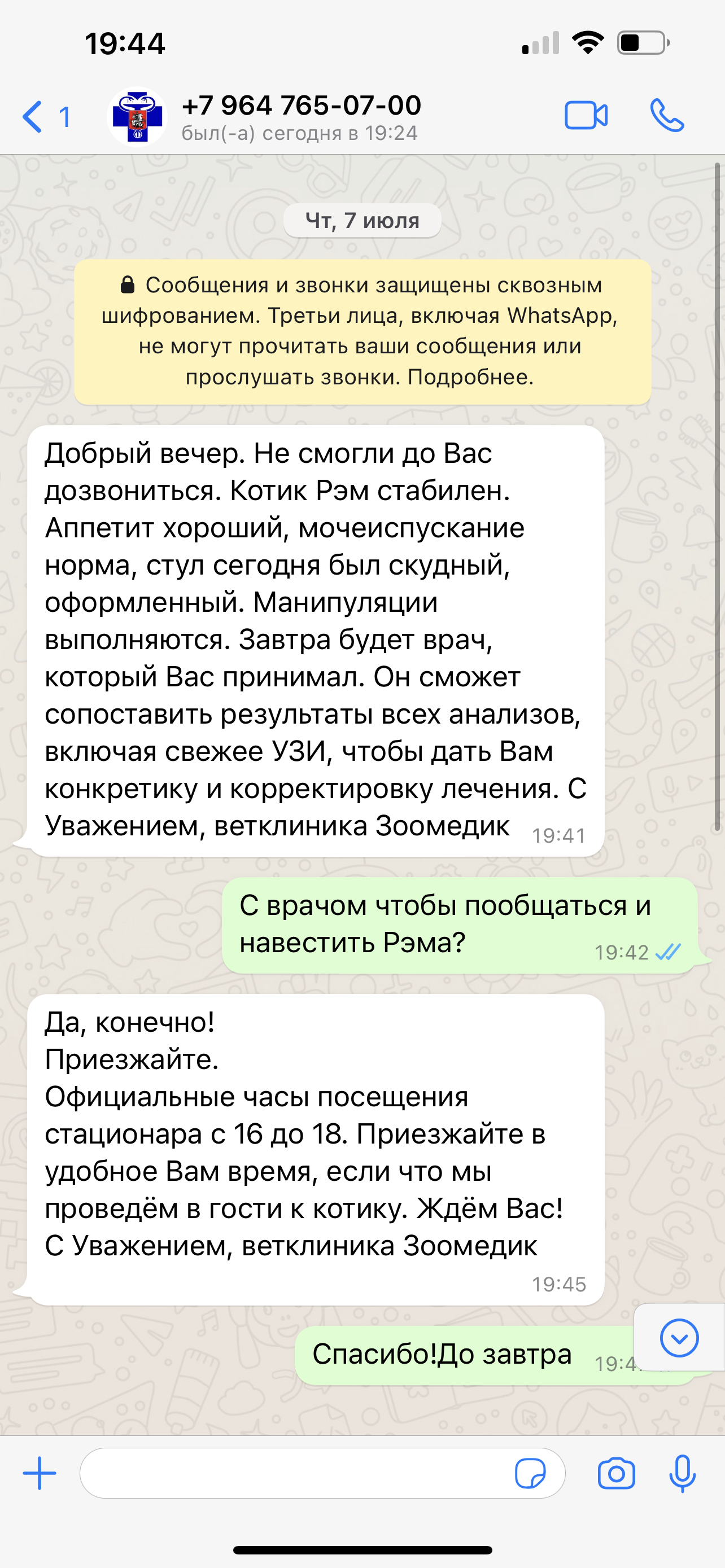 Здесь убивают животных за ваш счет - Ветклиника Зоомедик наживается на  несчастных животных! | Пикабу