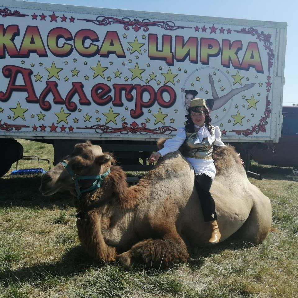 Дрессировщики с верблюдом поселились в курской деревне | Пикабу