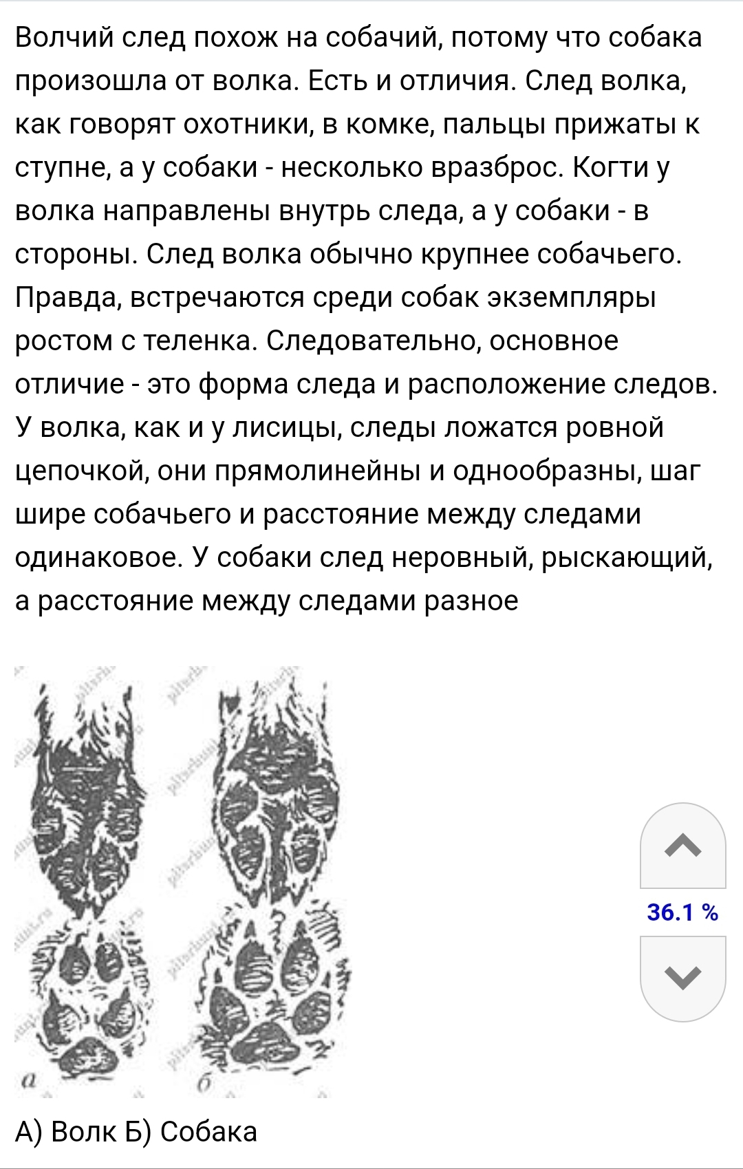 Ответ на пост «Зима, ковыль, волчий след» | Пикабу