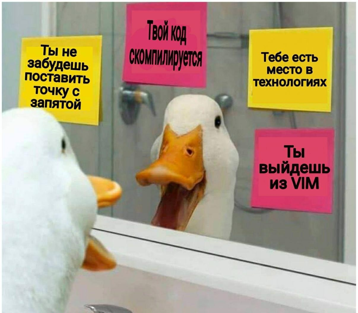 Джун перед началом рабочего дня | Пикабу