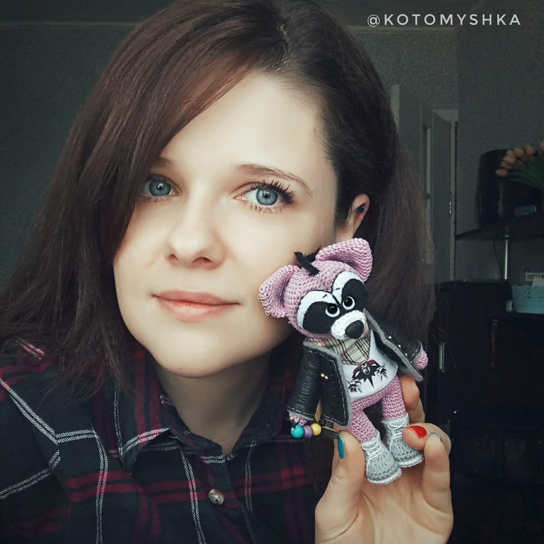 Котомыши-1. Еноты | Пикабу