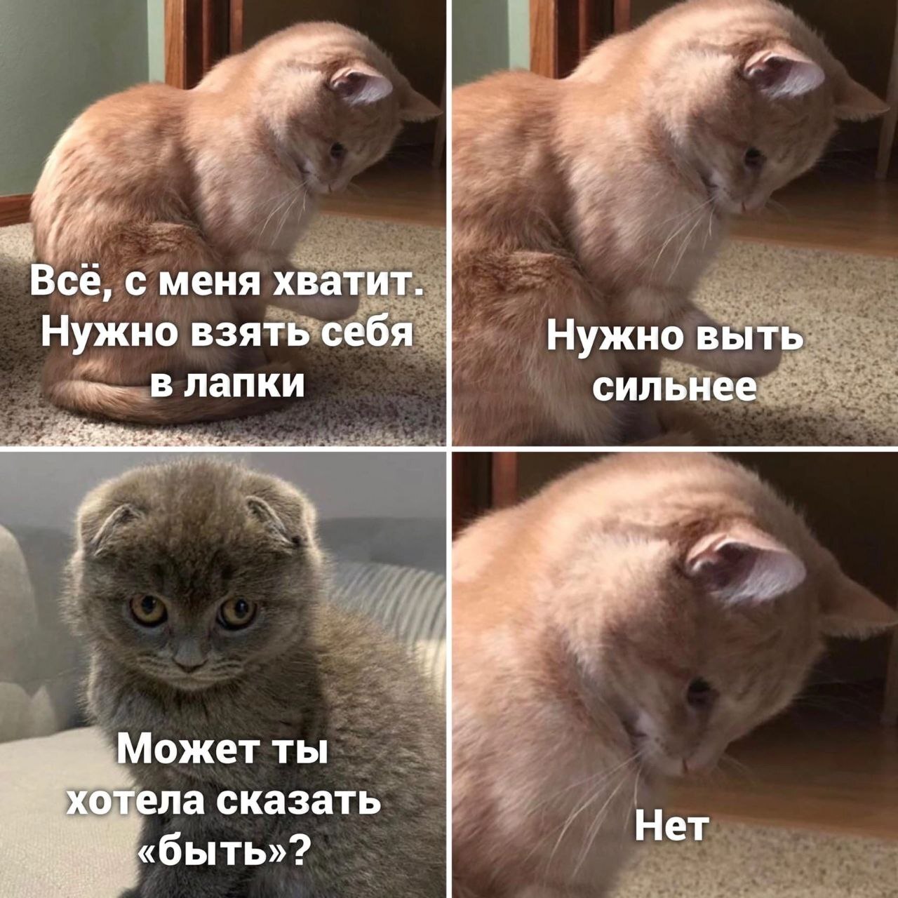 Невыносимость бытия | Пикабу