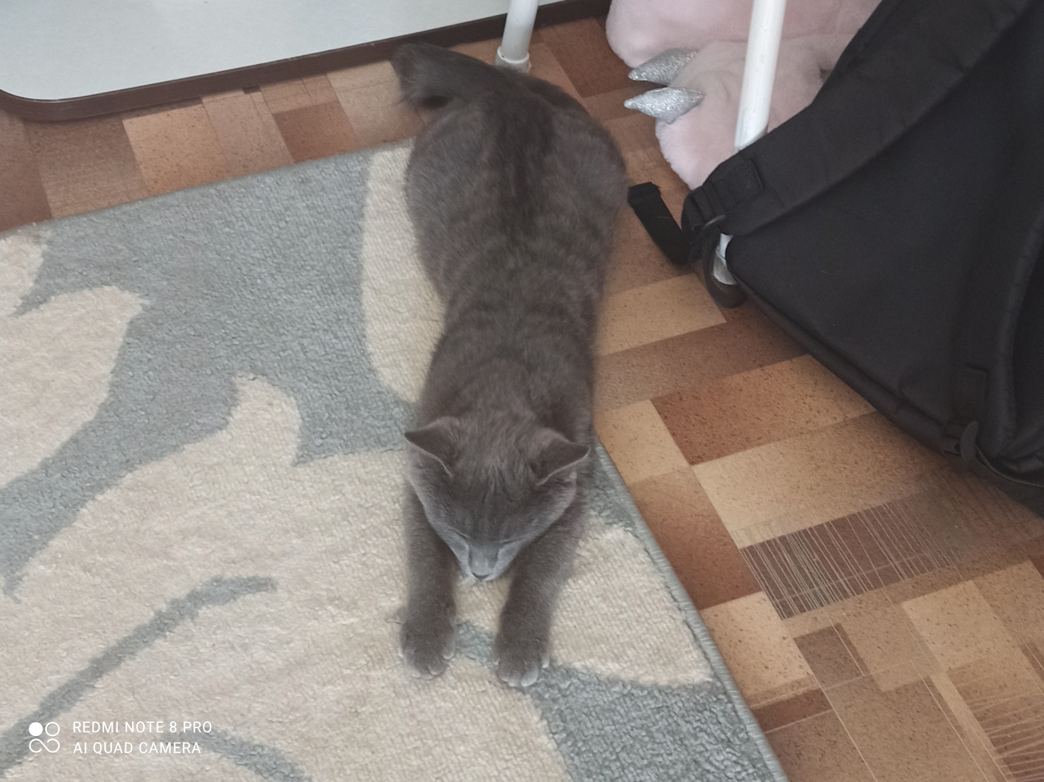 Virus miner pikabu.monster