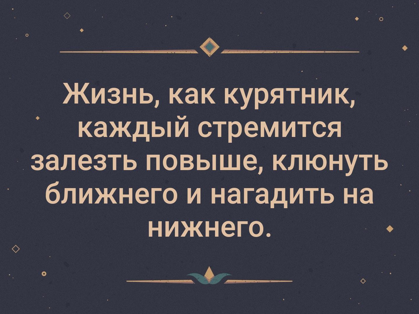 Арт-хаус: истории из жизни, советы, новости, юмор и картинки — Все посты,  страница 18 | Пикабу