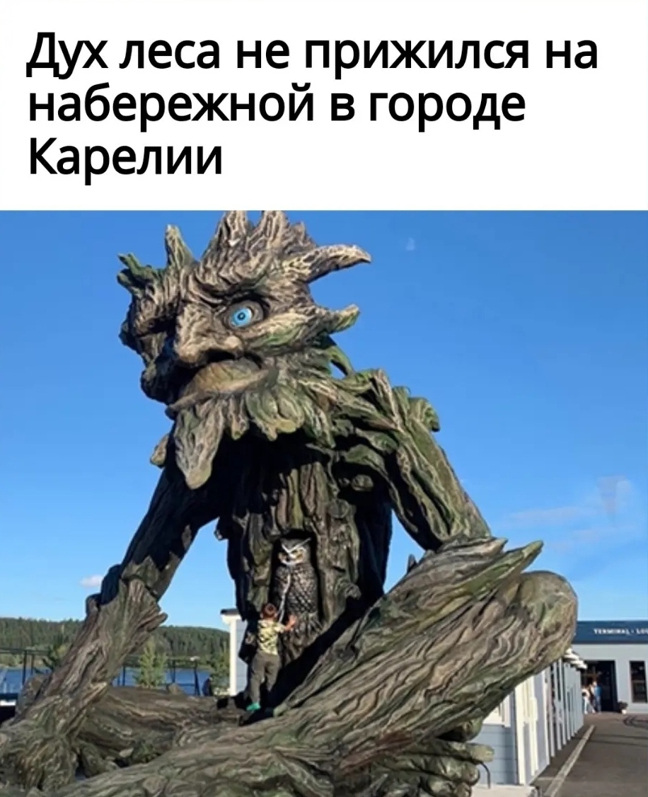 А, я думал сова... | Пикабу