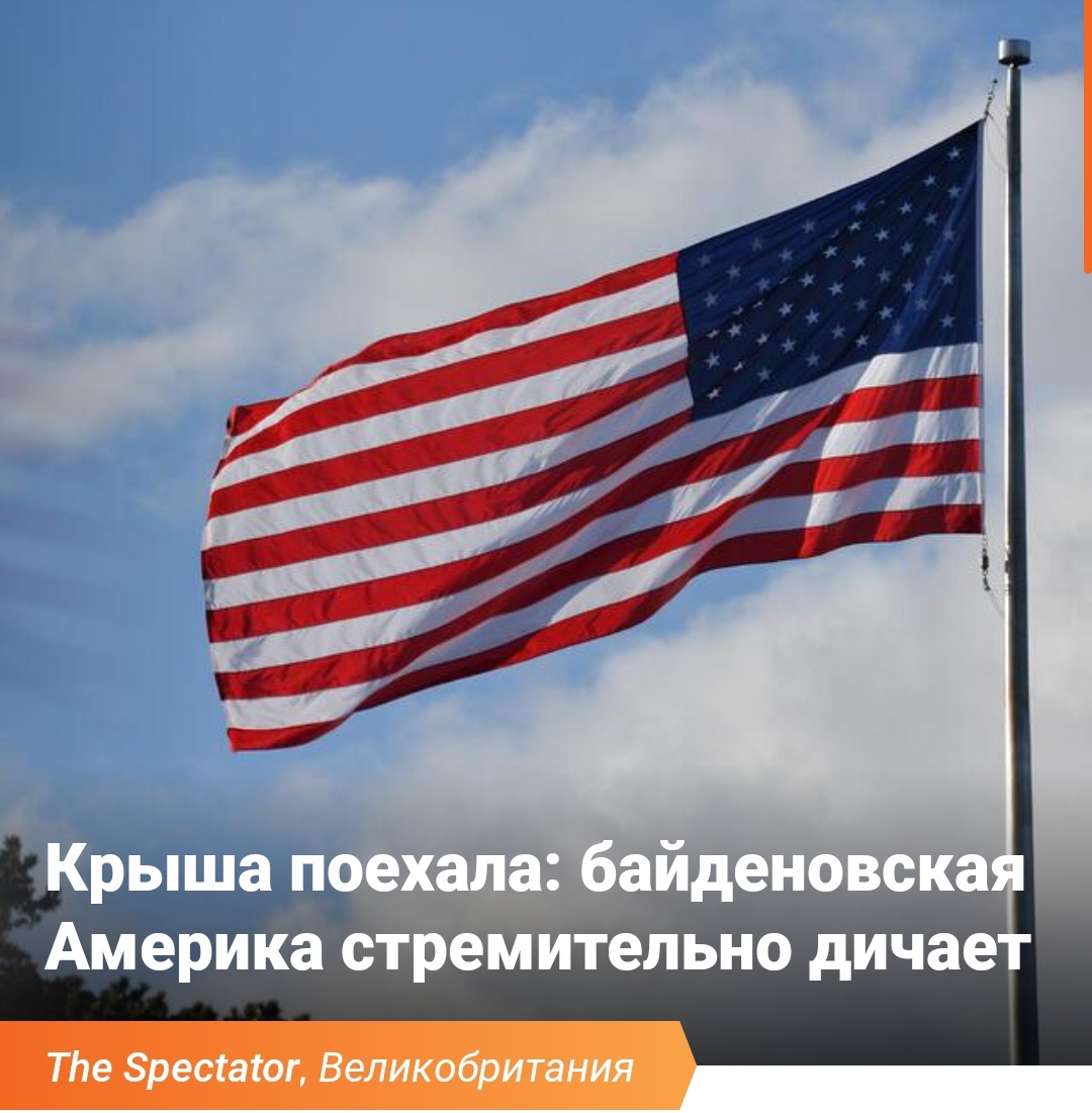 США дичает? | Пикабу