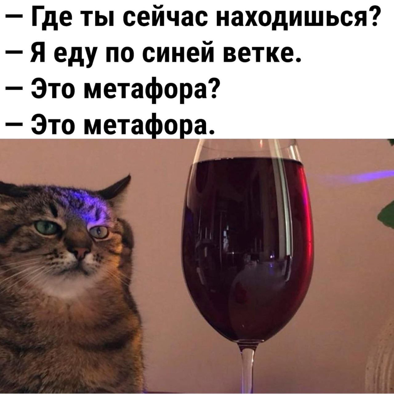 Синяя ветка | Пикабу