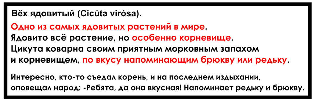 Цикута вкусная, или нет? | Пикабу