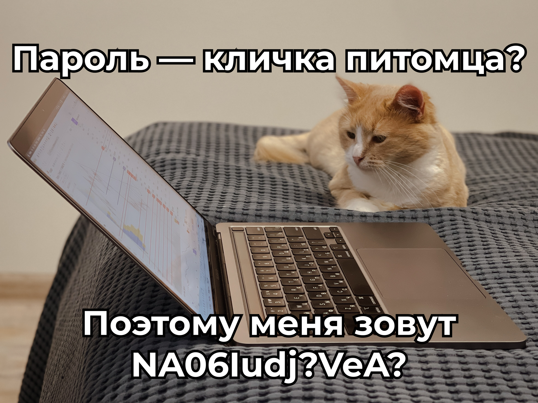 Трудно найти, легко потерять и невозможно вспомнить: как хранить пароли |  Пикабу