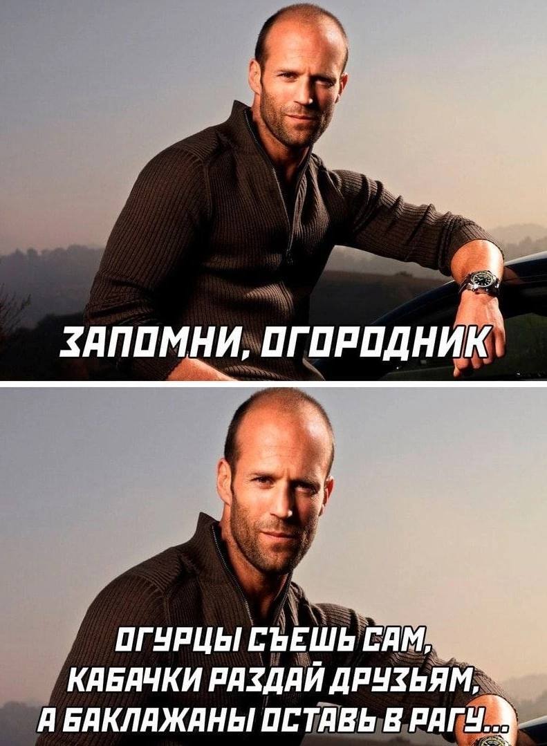 Советы огородникам | Пикабу