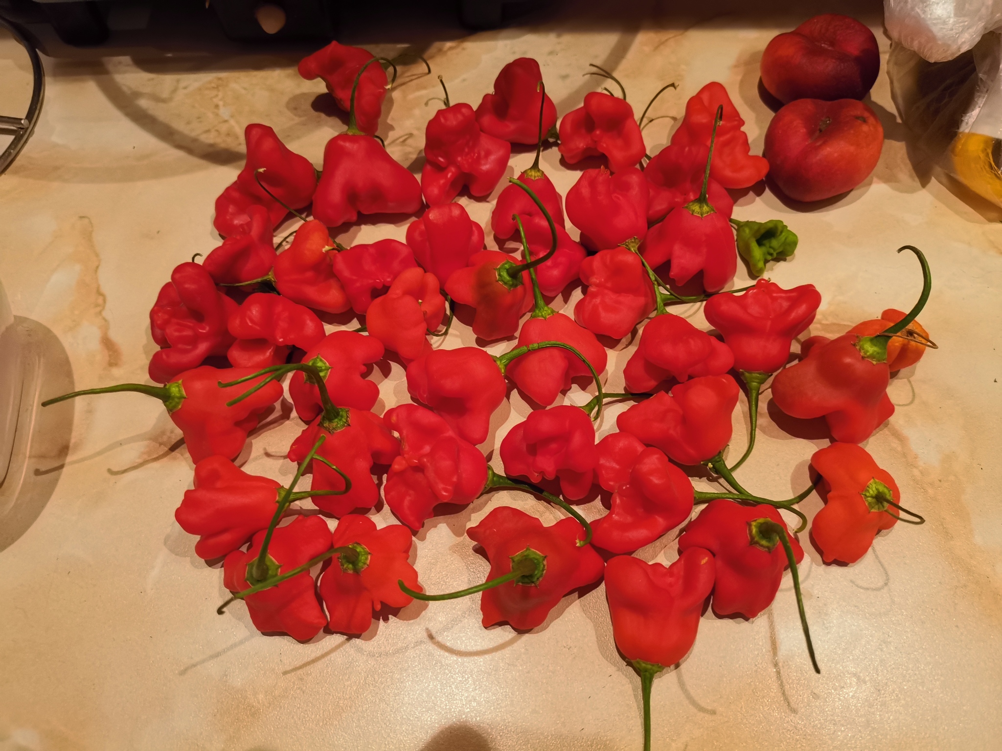 Корона Епископа, сорт перца | Пикабу