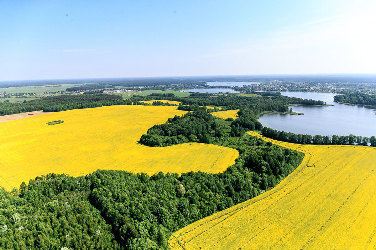 Переезд из РФ в РБ | Пикабу