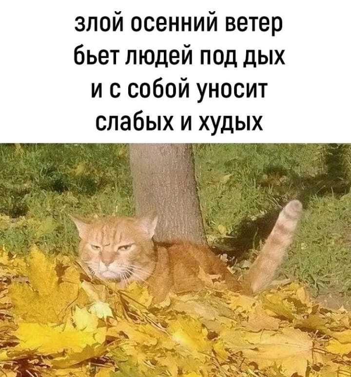 Ветер, он такой :) | Пикабу