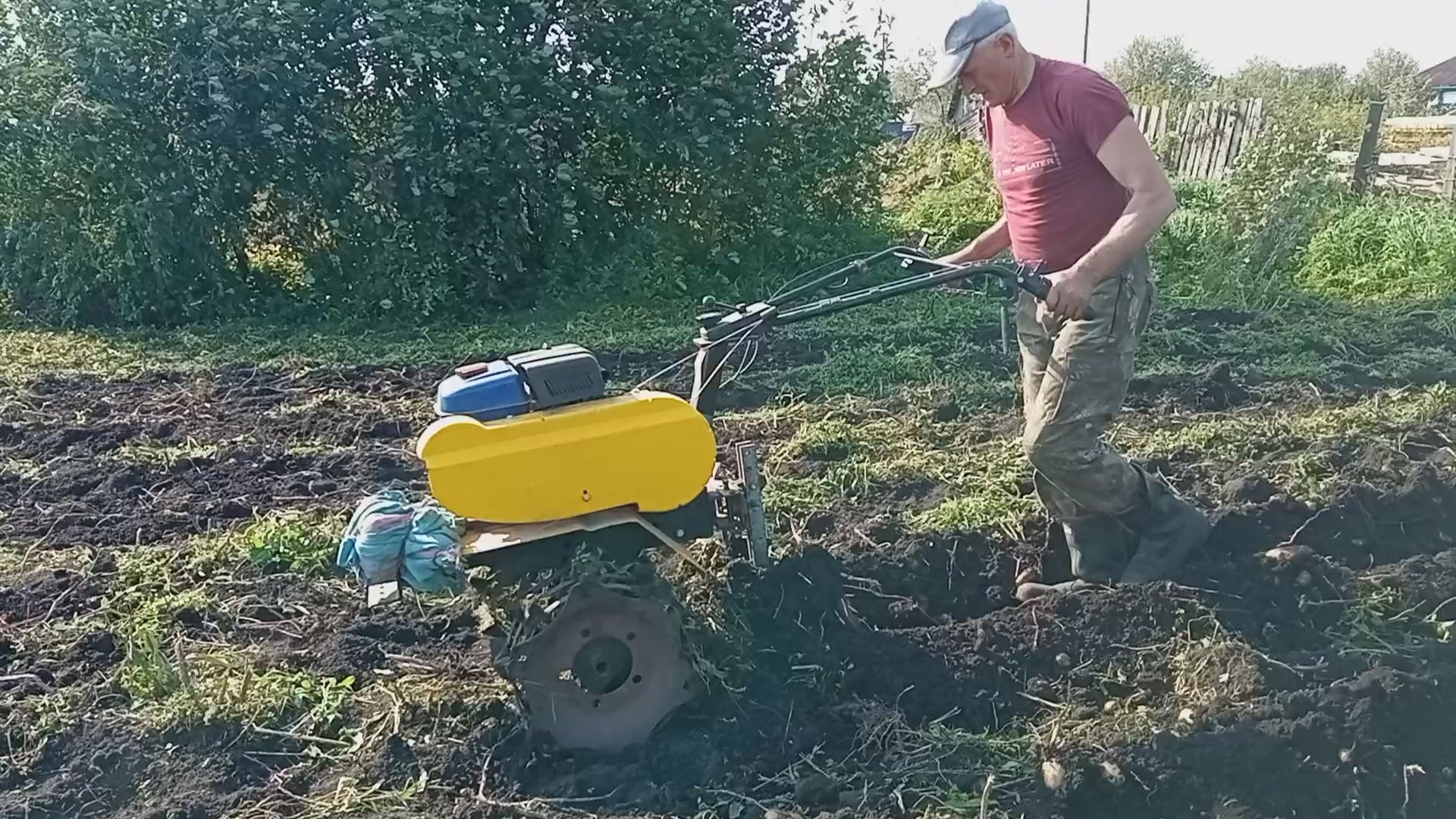 Копаем картофель у дедушки Коли. Дед доволен урожаем! | Пикабу