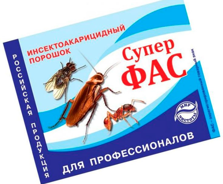 Моя война с тараканами | Пикабу