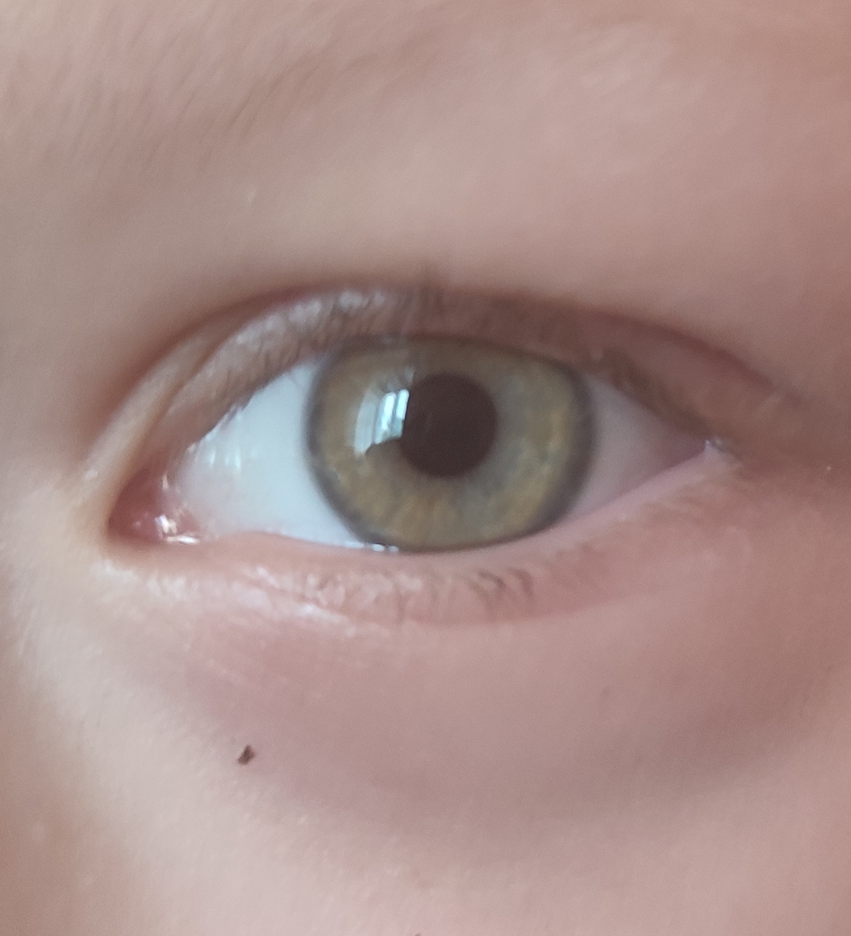 Цвет глаз у ребенка | Пикабу
