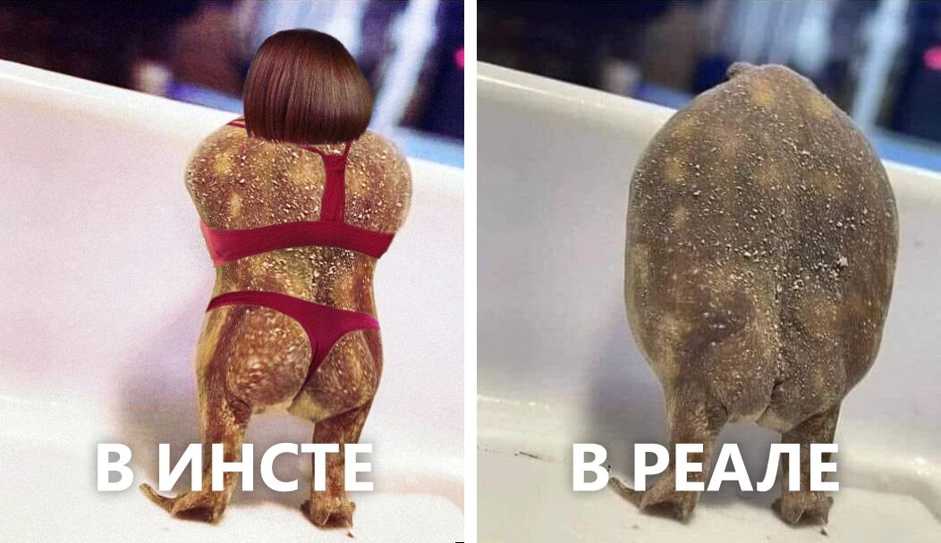 UCoz минет фотогалереясы Аяқтарды жалау порно