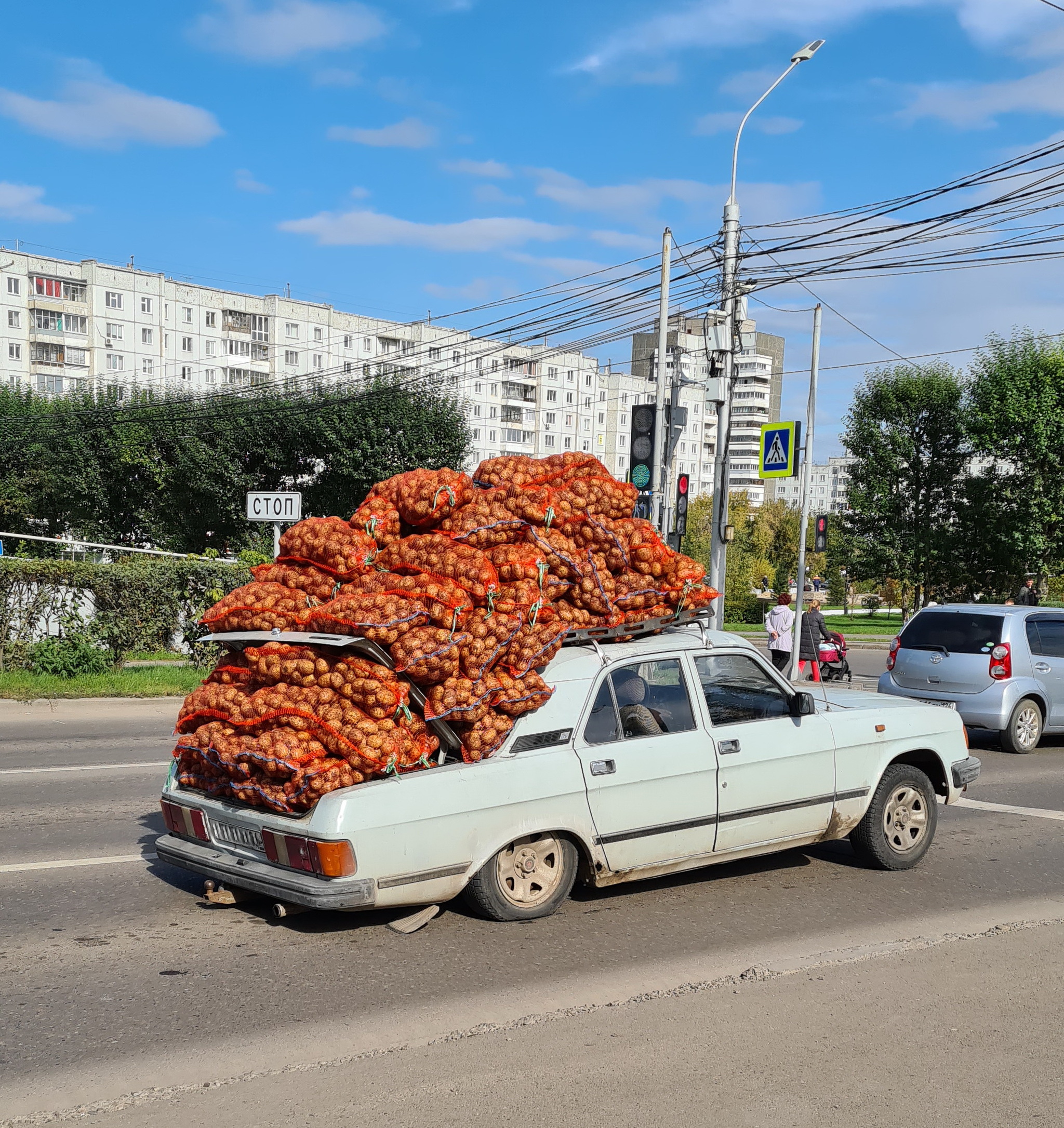 Сезон картофеля | Пикабу