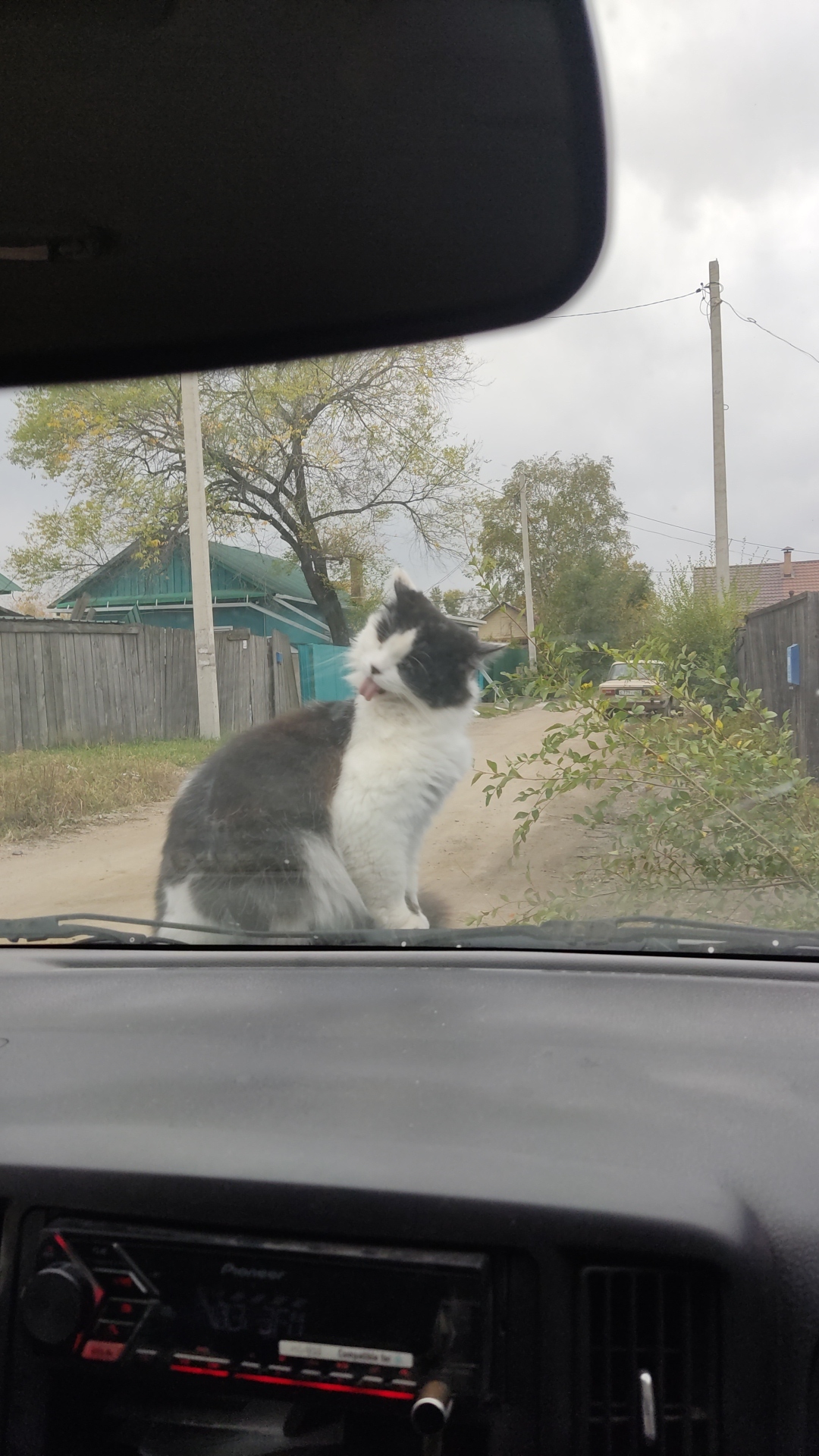 Везде суета | Пикабу