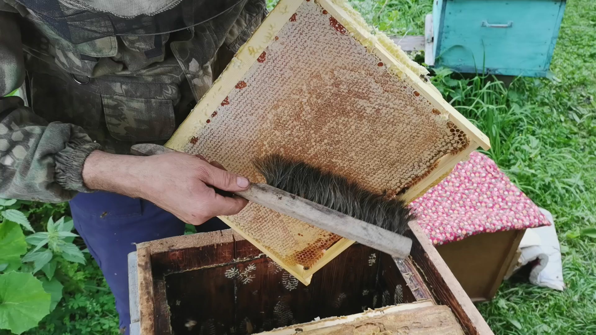На сходе пчеловодов в Казани обсудили проблемы отрасли — видео