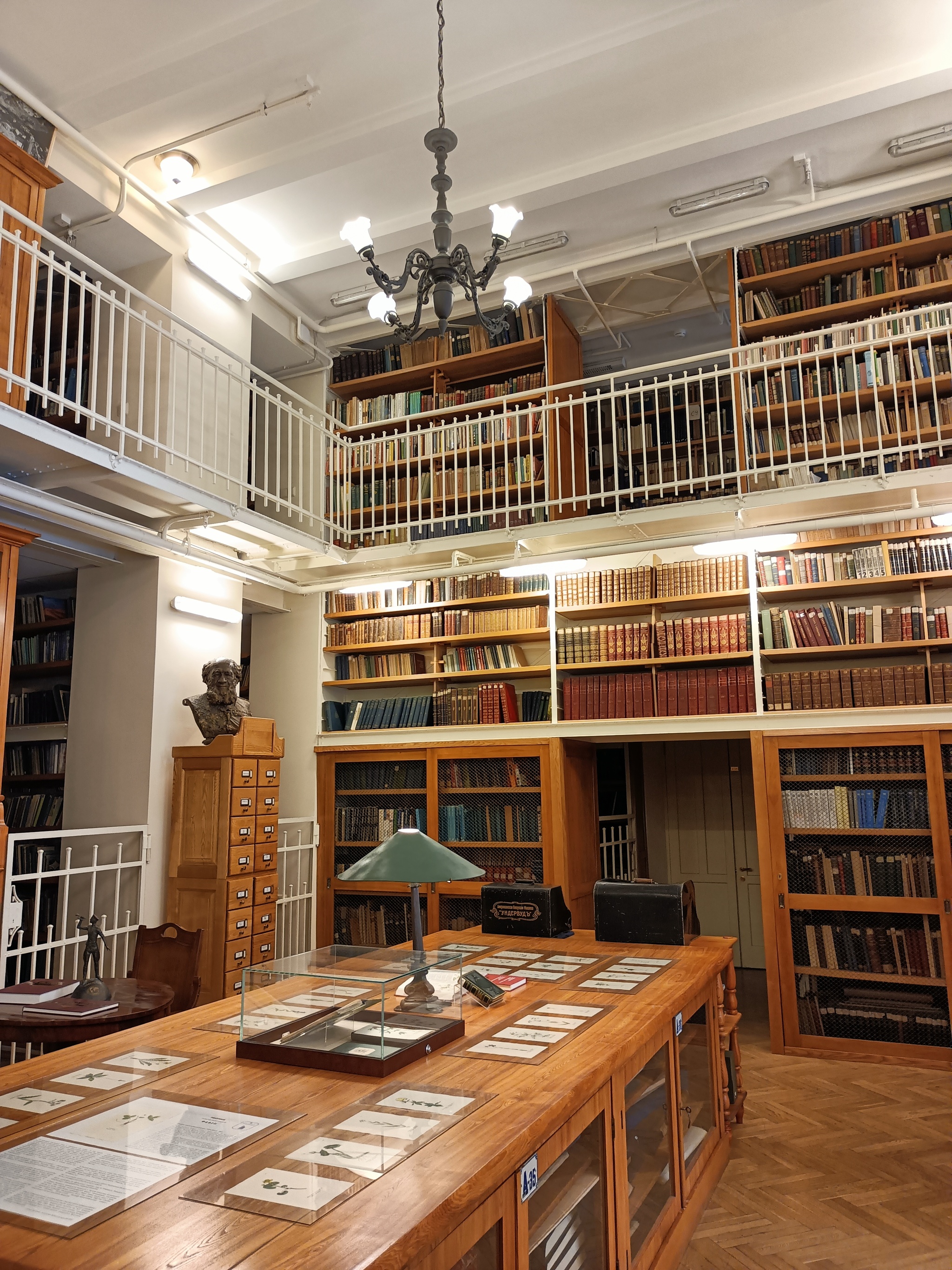 Библиотека в РГО в Санкт-Петербурге | Пикабу