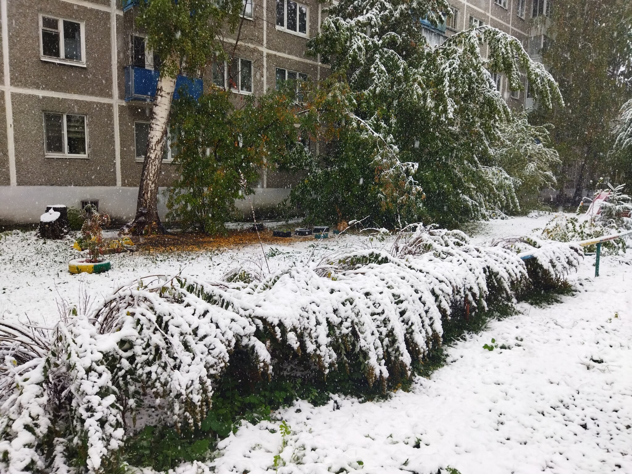 Екб сегодня | Пикабу