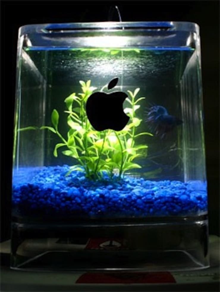 imac g3 fish tank