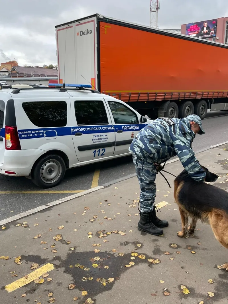 В военкомате Подольска пёс потерял хозяина, ушедшего по мобилизации | Пикабу