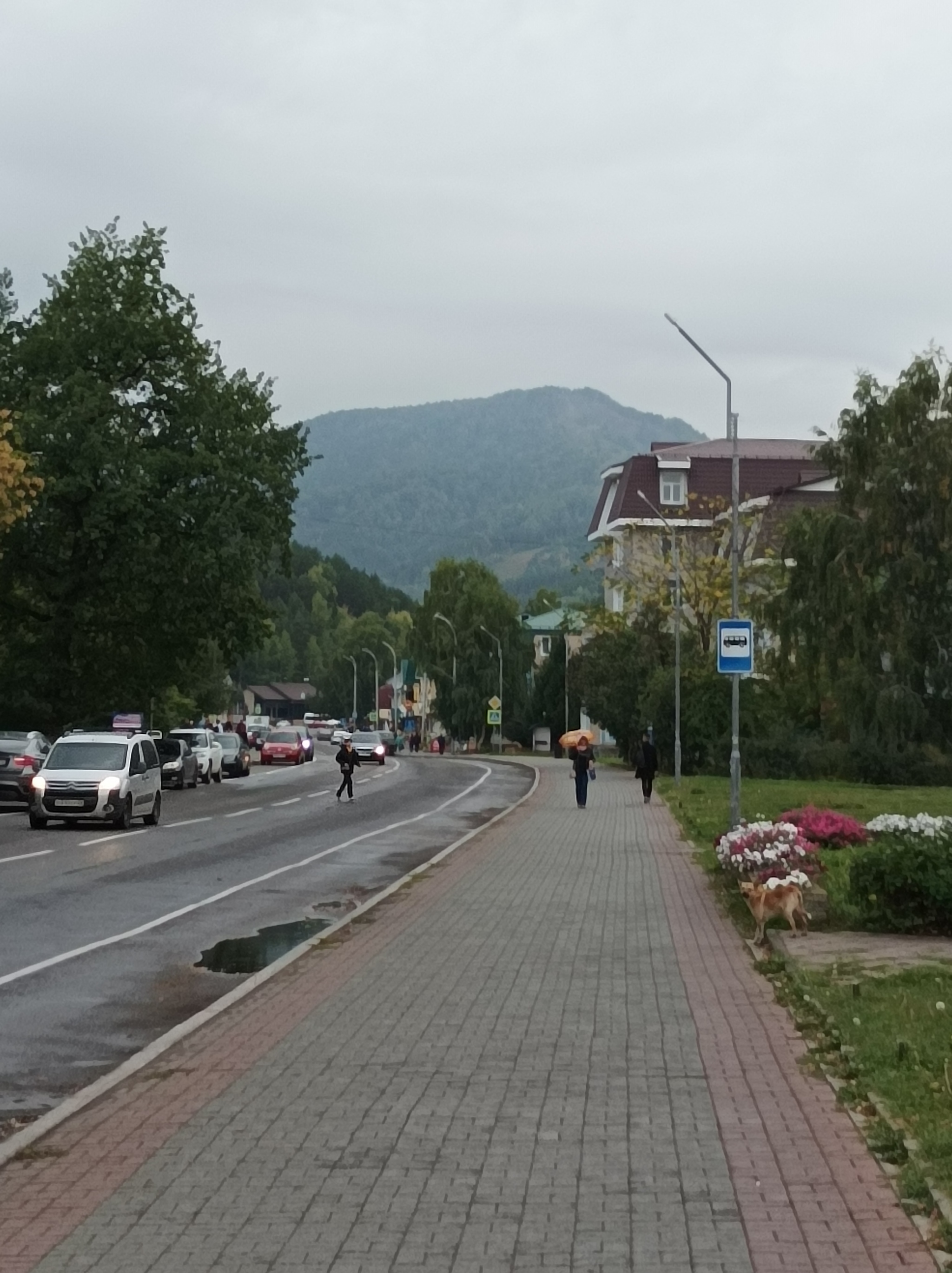 Алтай Белокуриха (фото) | Пикабу