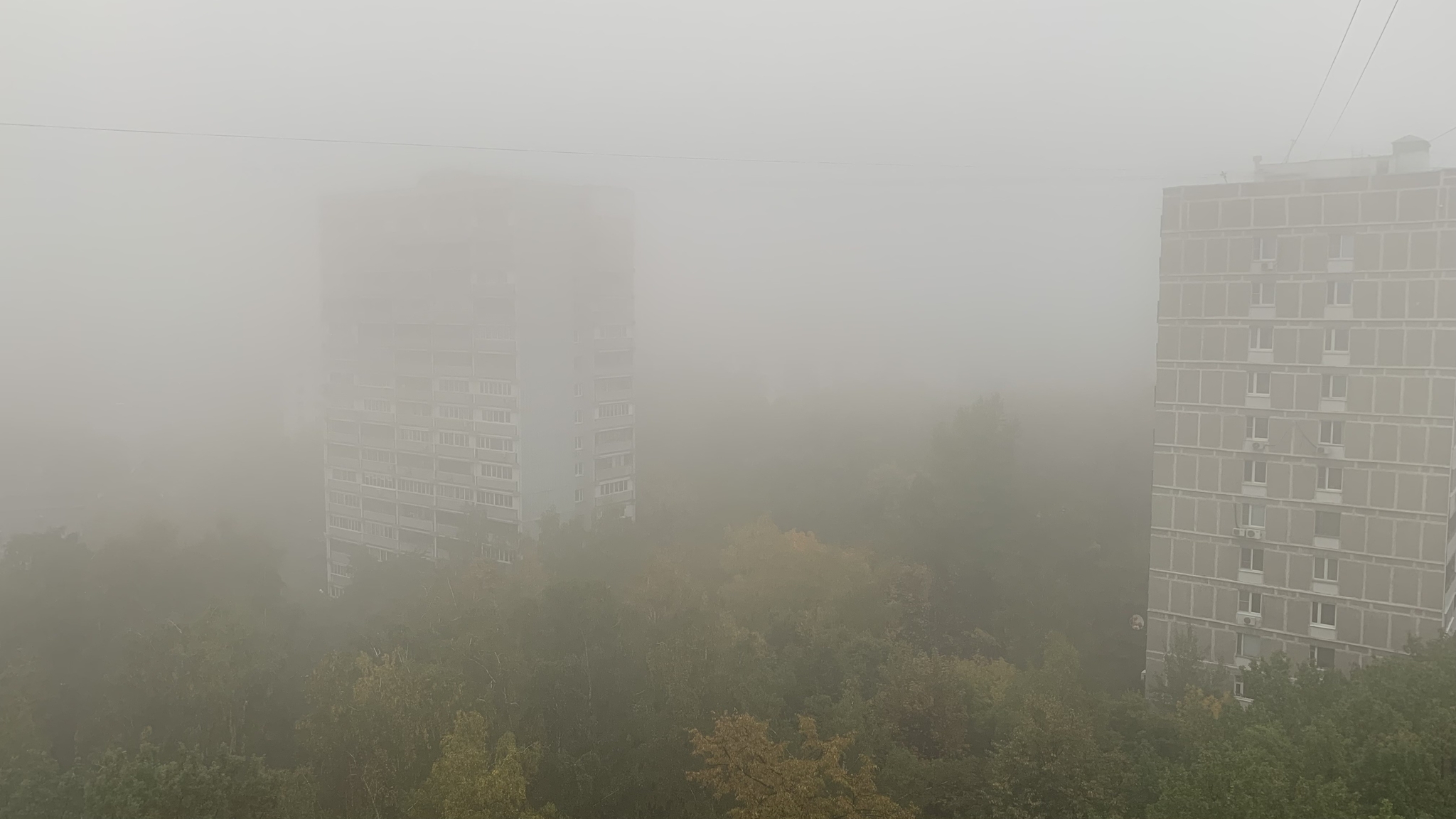 В Москве туман | Пикабу